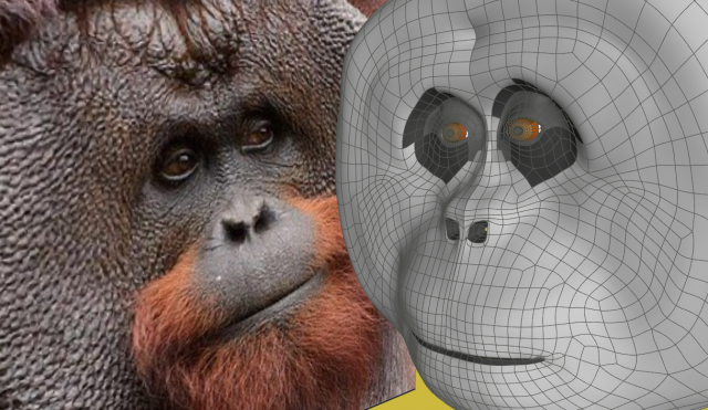 sketchUcation's tweet photo. "Hey there beautiful, haven't seen you around here..."
This #model is a labor of love, by our user Builder54 of ALoft Carpentry & Finishing. In @sketchup using @evilsoftware's, #SubD, #vertextools & #quadface tools The magnificent #orangutan.
#sketchup https://t.co/umbD7aVWKO