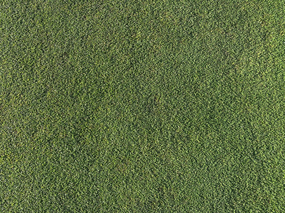Wheatley Greenkeepers tweet media