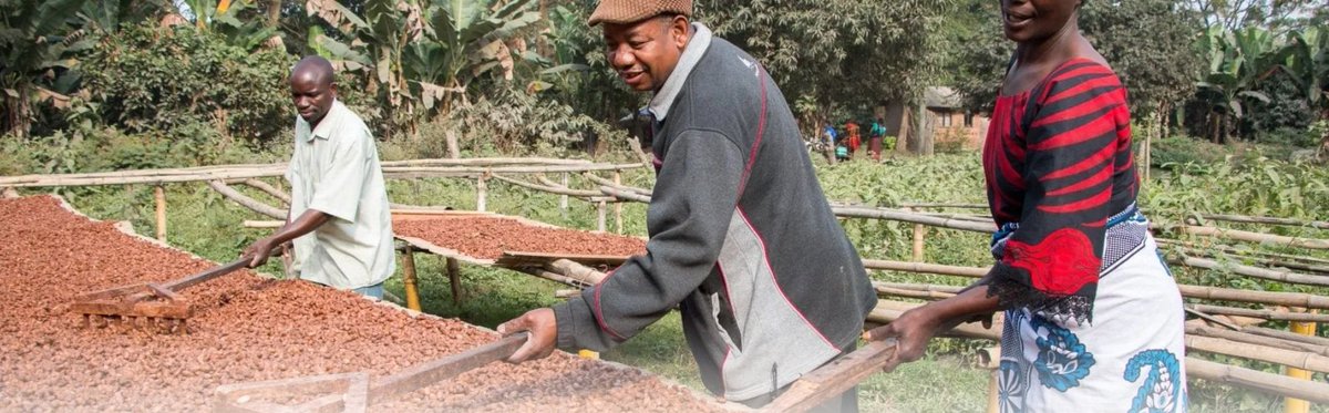 #Kenya How have coffee farmers been affected by Covid-19?
-60% farmers report challenges selling crops in the past week
-59% of farmers carrying out pest management report difficulties in lack of finances
Read the report: bit.ly/3csWt9N @sharonjcheboi #Covid19FoodFuture