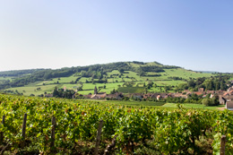 Vin & Société tweet media