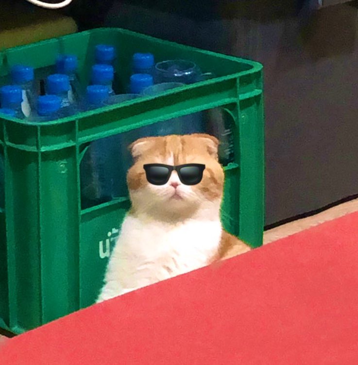 โอ้ยๆ ลูกพี่