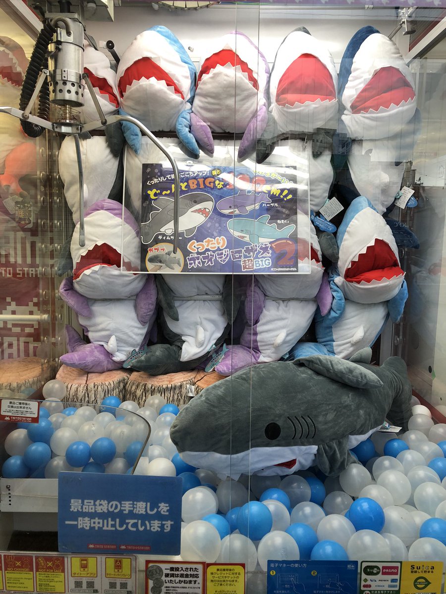 タイトーステーション戸塚西口店 プライズ くったりホオジロザメ超big2 人気のホオジロザメぬいぐるみの新作入荷しました ガブっと腕まで咥えられちゃいます タイステ タイトー戸塚