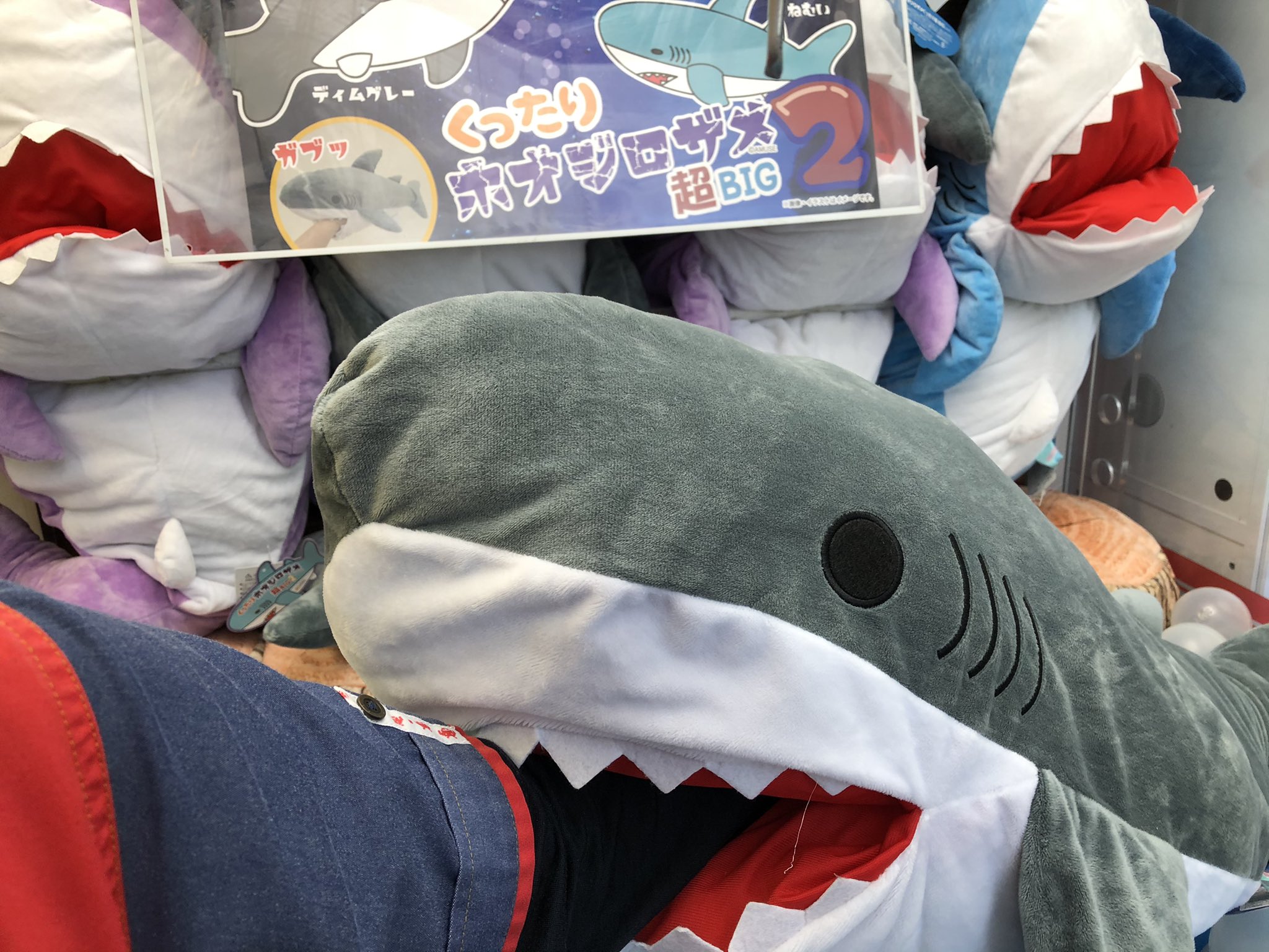 タイトーステーション戸塚西口店 プライズ くったりホオジロザメ超big2 人気のホオジロザメぬいぐるみの新作入荷しました ガブっと腕まで咥えられちゃいます タイステ タイトー戸塚
