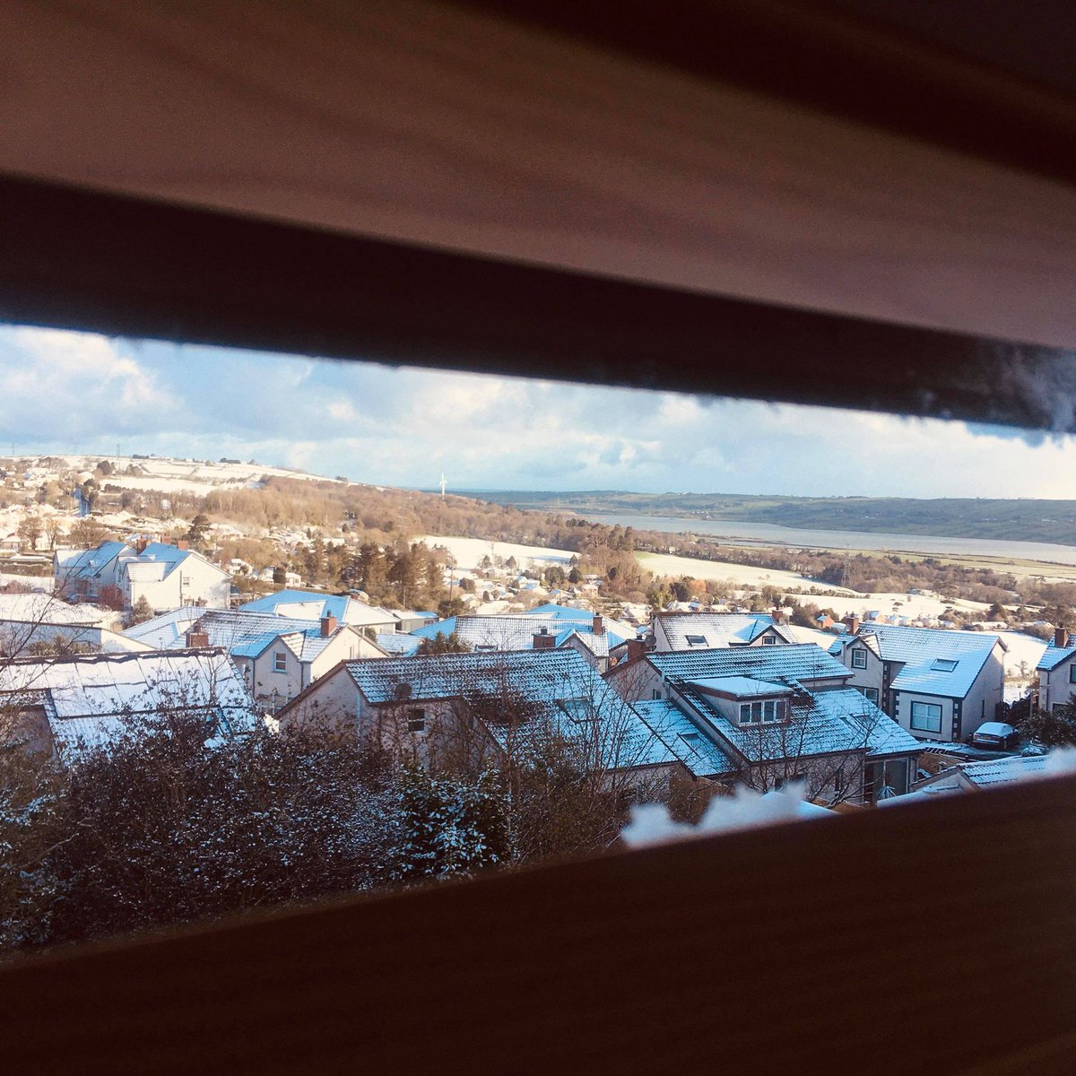 ThankfulCow's tweet photo. Early rising today getting caught up on some client and personal project work after having a 4-day break, but as the old saying goes, the early cow catches the moo 🐮

Oh and apparently it snowed ❄

- T https://t.co/kpFRTedO16