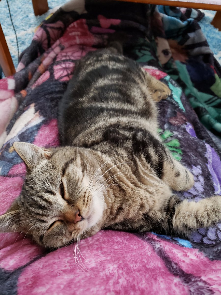 文豪ストレイドッグス アニメ 最新情報まとめ みんなの評価 レビューが見れる ナウティスモーション 2ページ目