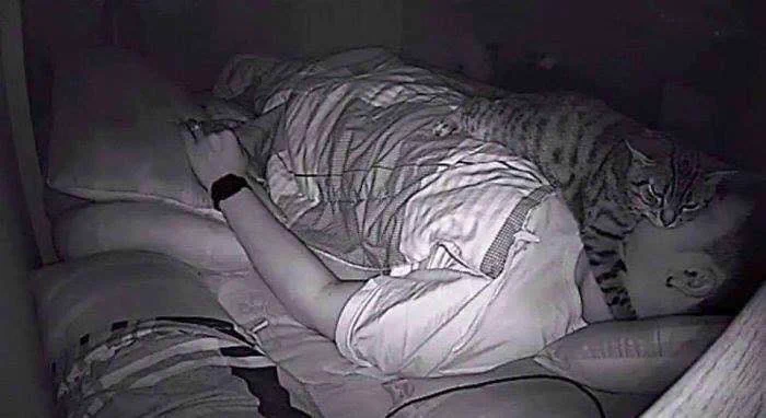 顔面がお気に入りな猫！夜中に息ができなくなったわけとは