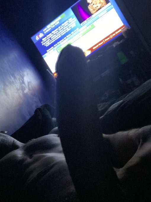 wildbedtc