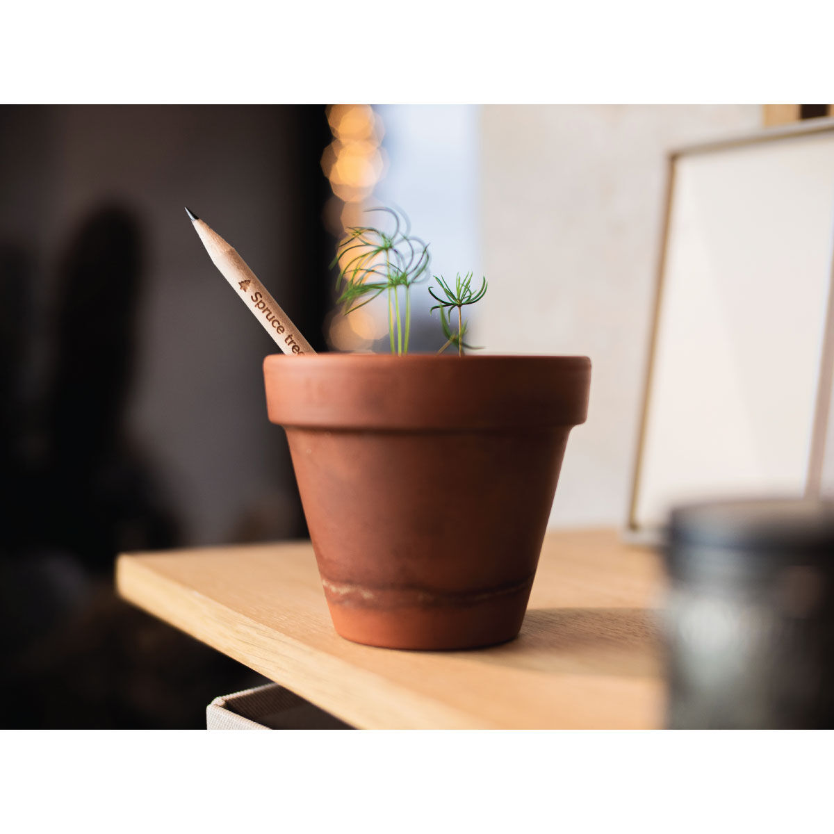 Promotion Products tweet media