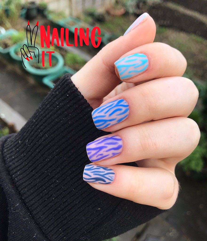 nailingit2019's tweet photo. 🦓💙 https://t.co/Kx5UtpkrBP
