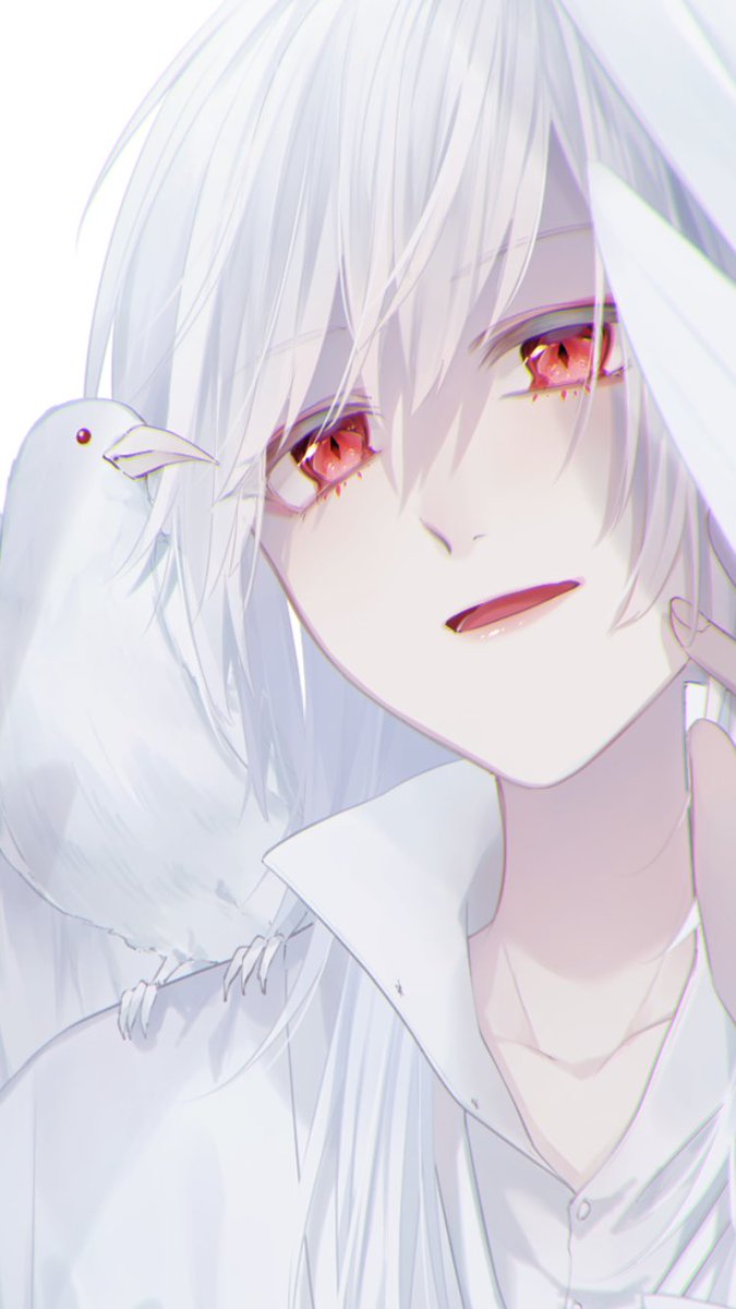 つきみつao 在 Twitter 上 アルビノと烏 T Co Syarydultl Twitter つきみつao 在 Twitter 上 アルビノと烏 T Co Syarydultl Twitter