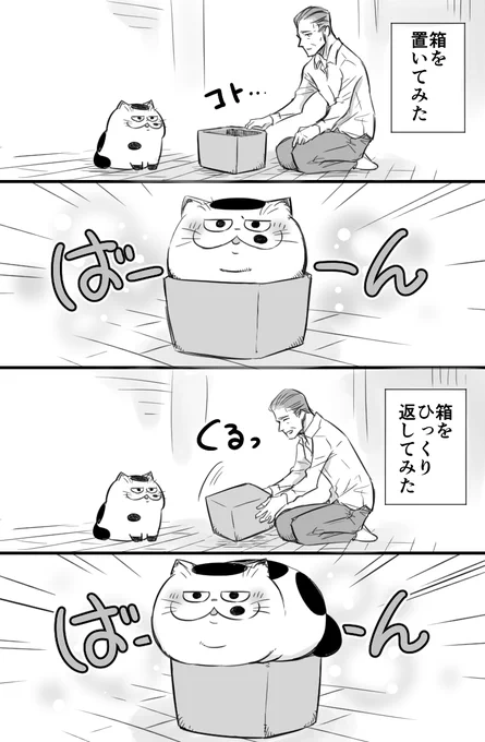 【おじさまと猫】甲乙つけがたいにゃん 