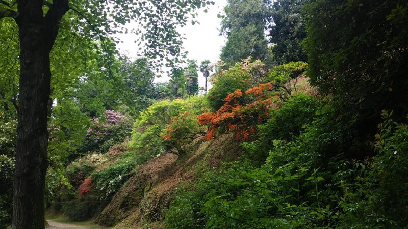 Oggi vi porto a scoprire il Parco della Burcina a Pollone: uno splendido parco ideato e realizzato da 4 generazioni di industriali lanieri biellesi. 🌲🌸🌳🌹🌷🌺
<a href="/BiellaTurismo/">Biella Turismo</a> <a href="/torinopiemonte/">VisitPiemonte.Regional Marketing and Promotion</a> #parcodellaburcina #piacenza1733 

itinerarilowcost.it/2021/04/parco-…