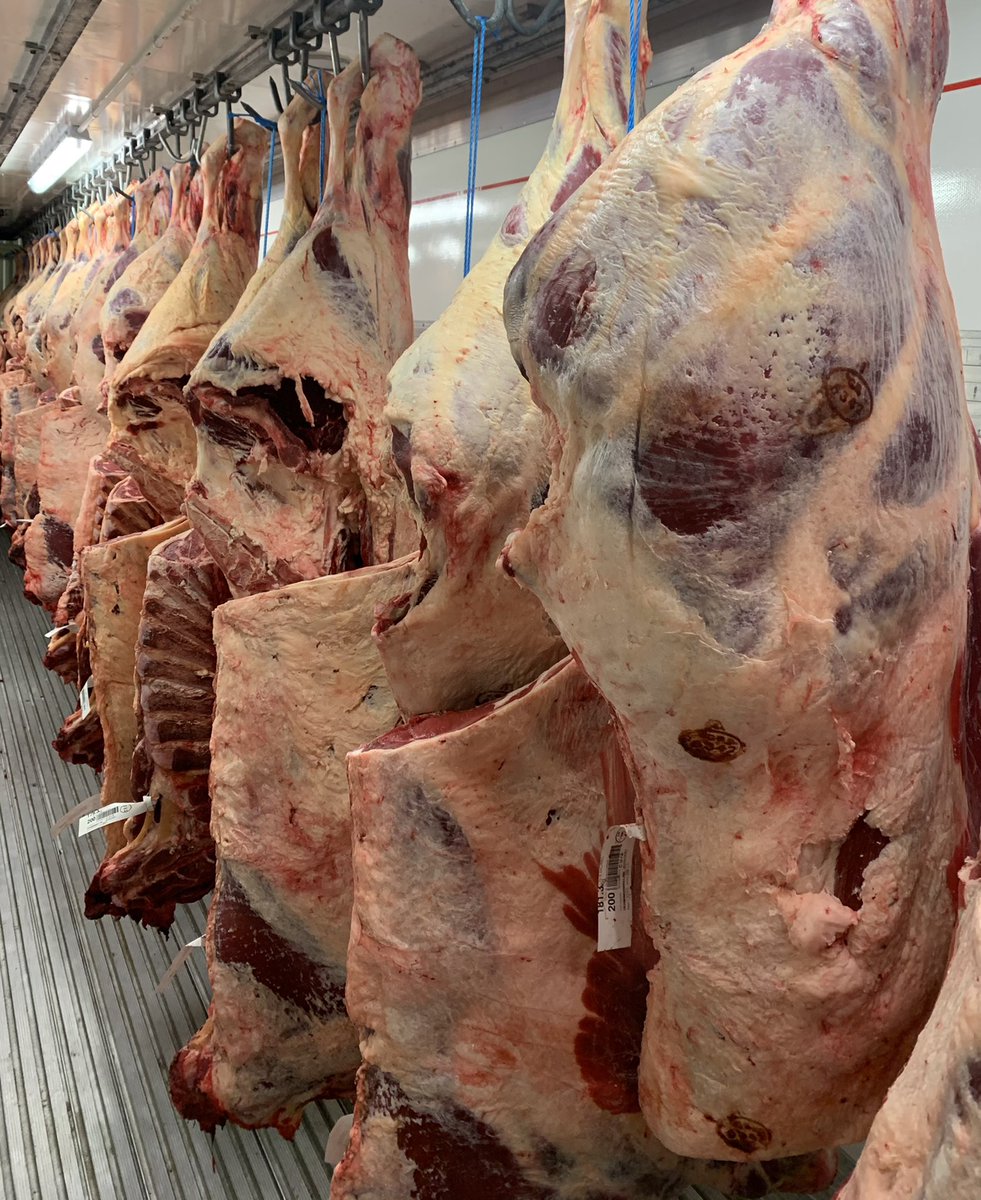 24 sides here ready to roll 🎲