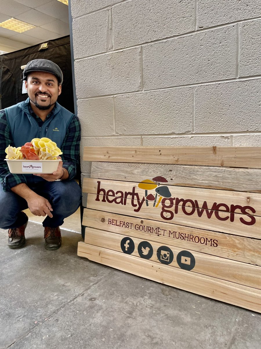 Dishyouwerehere's tweet photo. Called to collect fresh mushrooms from Terry @HeartyGrowers today #supportlocal And bought 2 grow bags to produce my own oyster mushrooms! Just look at these beauties ❤️ @Food_NI @IndieFude @Arcadiadeli https://t.co/U8ehGCZGk1