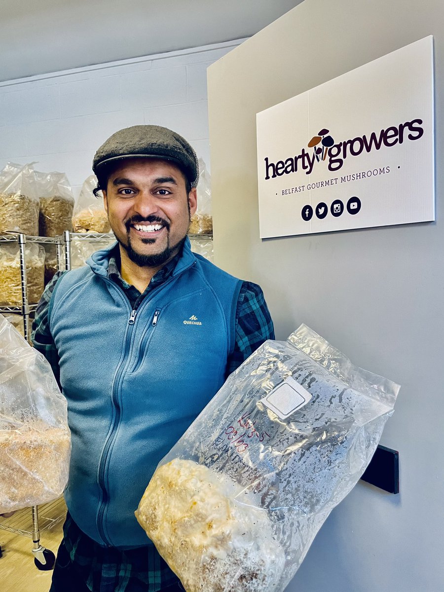Dishyouwerehere's tweet photo. Called to collect fresh mushrooms from Terry @HeartyGrowers today #supportlocal And bought 2 grow bags to produce my own oyster mushrooms! Just look at these beauties ❤️ @Food_NI @IndieFude @Arcadiadeli https://t.co/U8ehGCZGk1