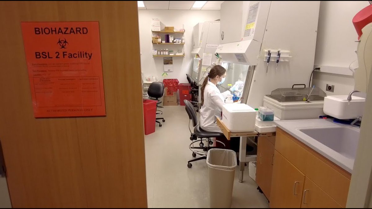 UMassChanGSBS's tweet photo. Student-driven research is on full display in PhD candidate Heather Learnard's project in the lab of Dr. Fen-Biao Gao.
Watch for more: https://t.co/fhuHVkLBc9
#biomedicalsciences #biomedicalresearch #biomedicalphd https://t.co/LSnxD15dps