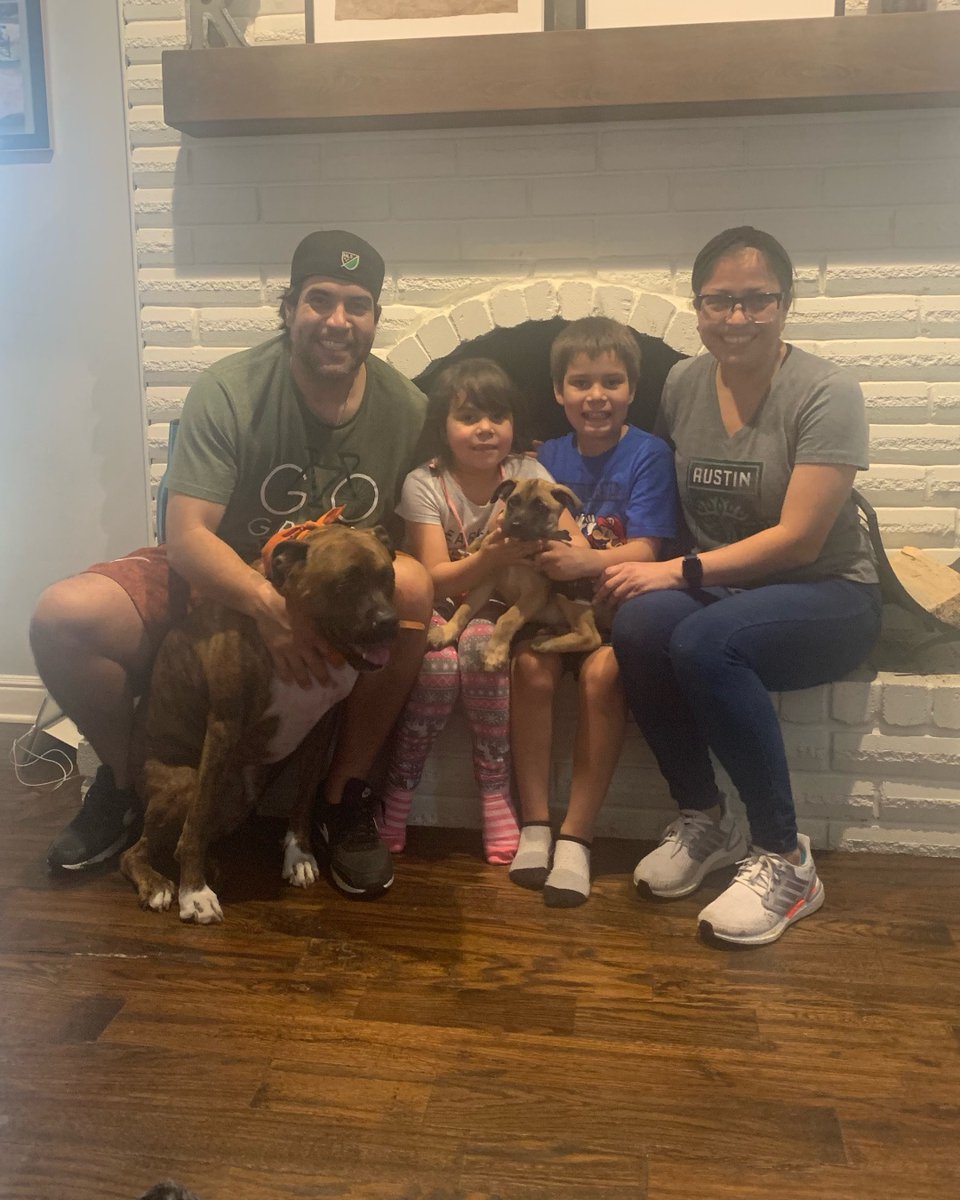 #LBRComet has moved to Dallas and has an LBR alum (Chewy) to show him the ropes and to play with. He has 2 skin siblings that he adores and is keeping his name. He was only with us for a short time, but we sure did enjoy him while he was here!