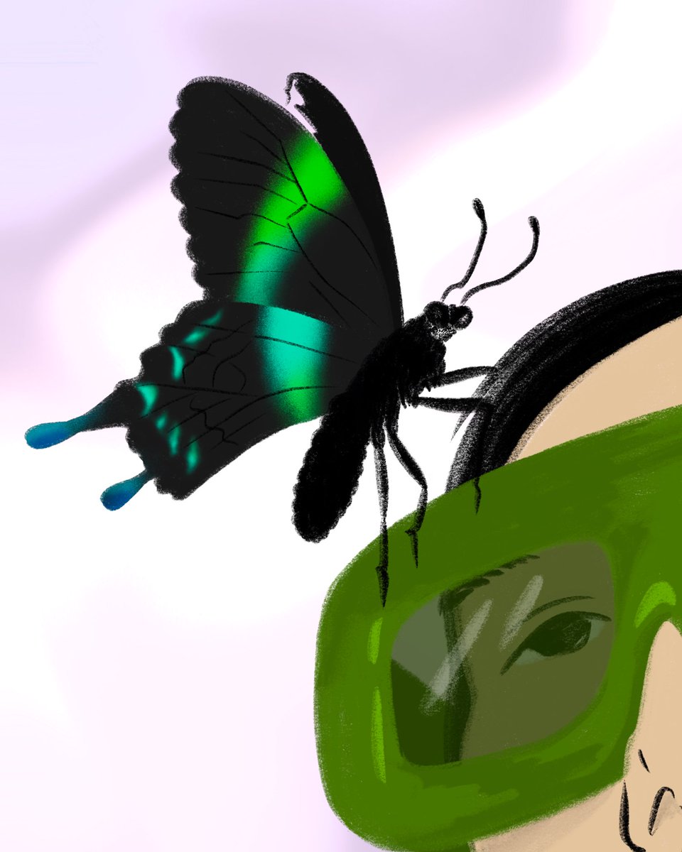 Sandy Van Helden tweet media