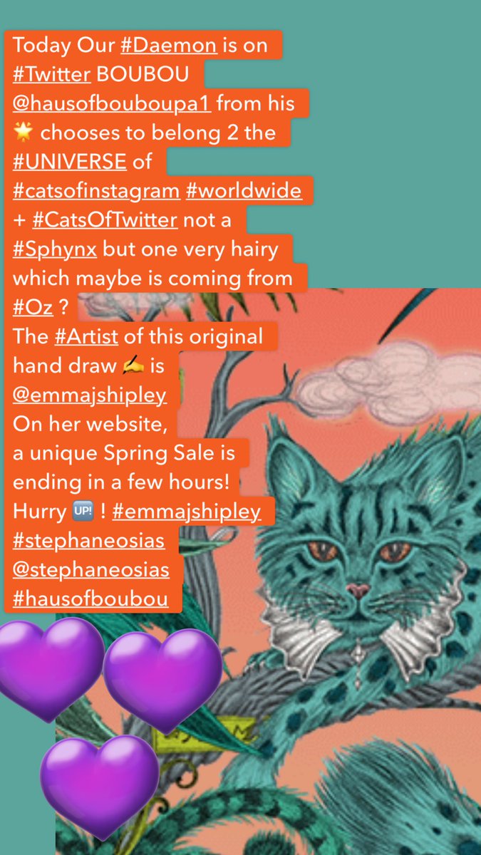 stephaneosias's tweet photo. Our #Daemon is on #Tw BOUBOU @hausofbouboupa1 from his 🌟 chooses 2 reach the #UNIVERSE of #catsofinstagram #worldwide & #CatsOfTwitter not as a #Sphynx but as A hairy 1 The #drawing is part of the #Art is @emmajshipley #emmajshipley #stephaneosias @stephaneosias #hausofboubou 👇 https://t.co/NWjkPiGtq1