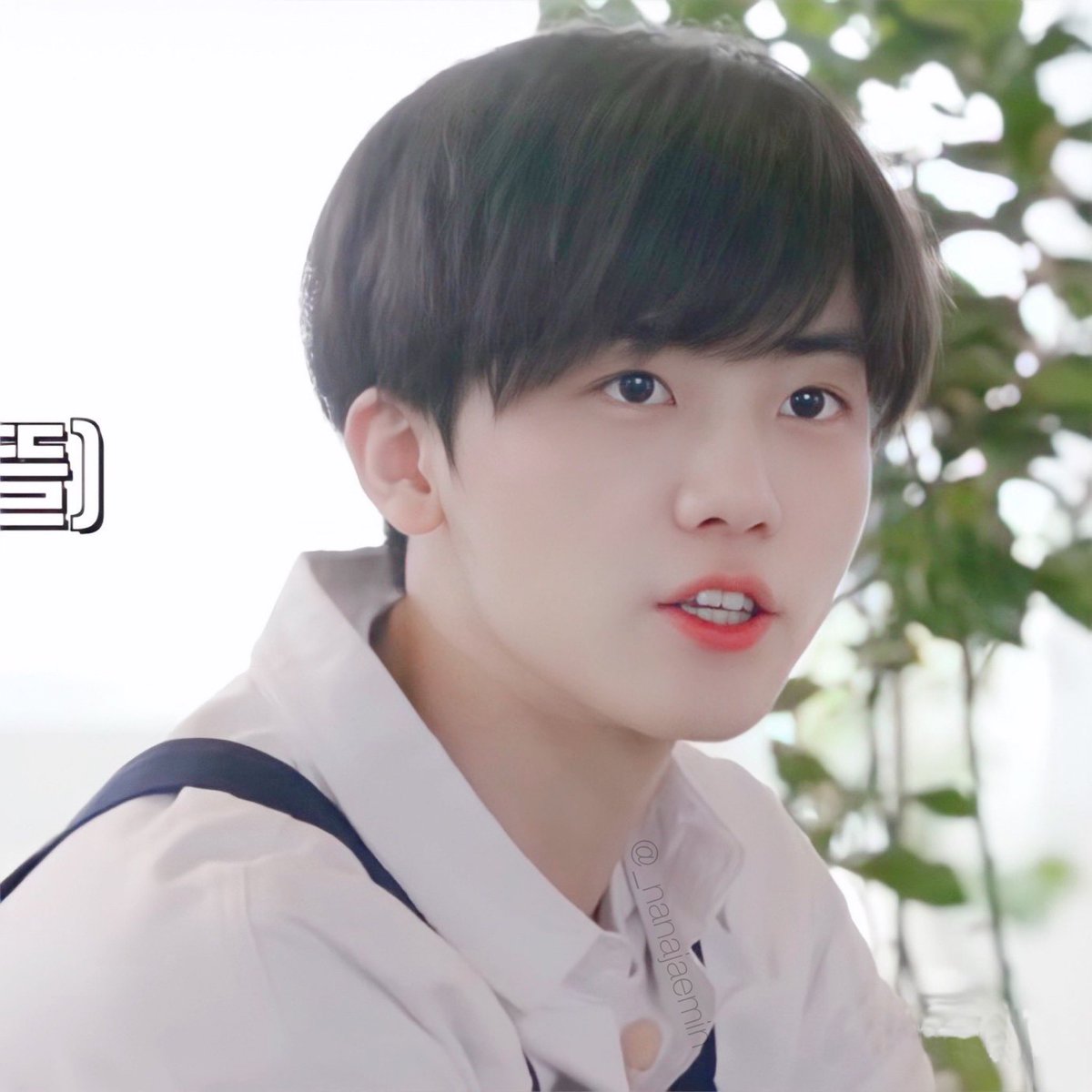 тrіρℓe ʲ ⁺◟✿ อุนยายมิ้วน้อย🐱ˎˊ˗ tweet media
