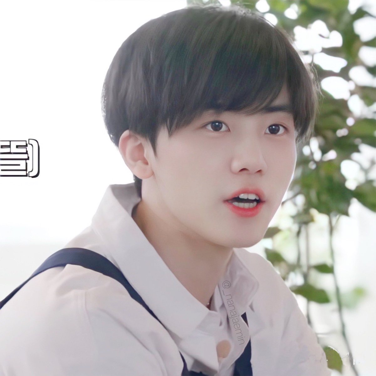 тrіρℓe ʲ ⁺◟✿ อุนยายมิ้วน้อย🐱ˎˊ˗ tweet media