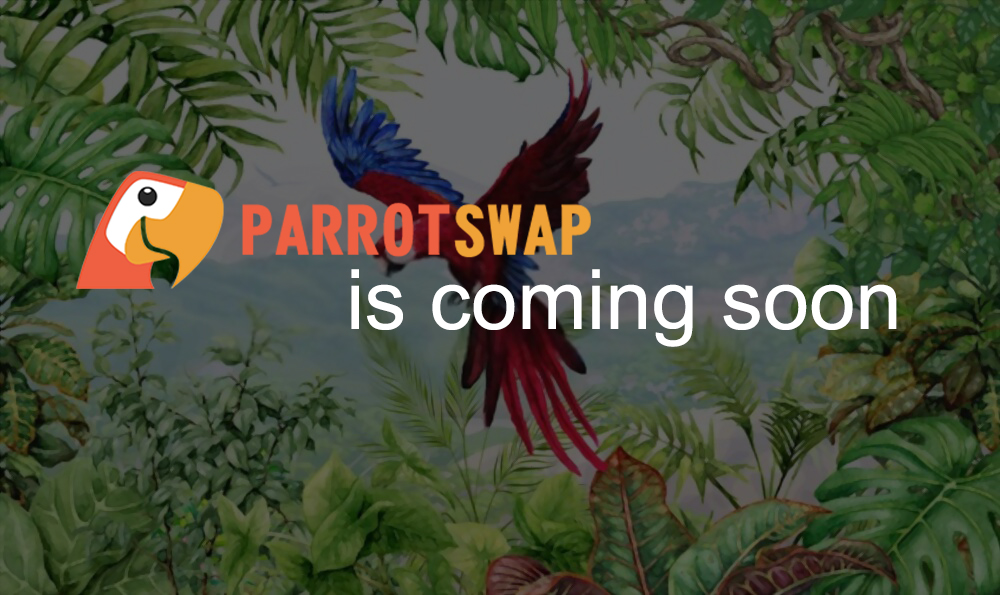SwapParrot's tweet image. #Parrotswap🦜is coming soon
Take part in our #airdrop before launch 🚀🌕
500☘️lucky people will share💰3600 $PARROT
Details: bit.ly/3cSVsIz
#BSC #YieldFarming #DeFi #Airdrops #Binance #staking #pancakeswap @news_of_bsc