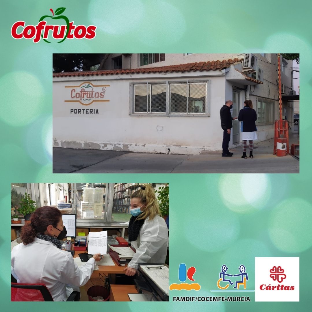 Continuando con nuestras políticas de  compromiso social, <a href="/Cofrutos/">Cofrutos</a> durante el pasado mes de febrero ha  colaborado  con diversas entidades como #FAMDIF y #CÁRITAS, firmando #convenios de #colaboración para la realización de prácticas de alumnos que han recibido formación.