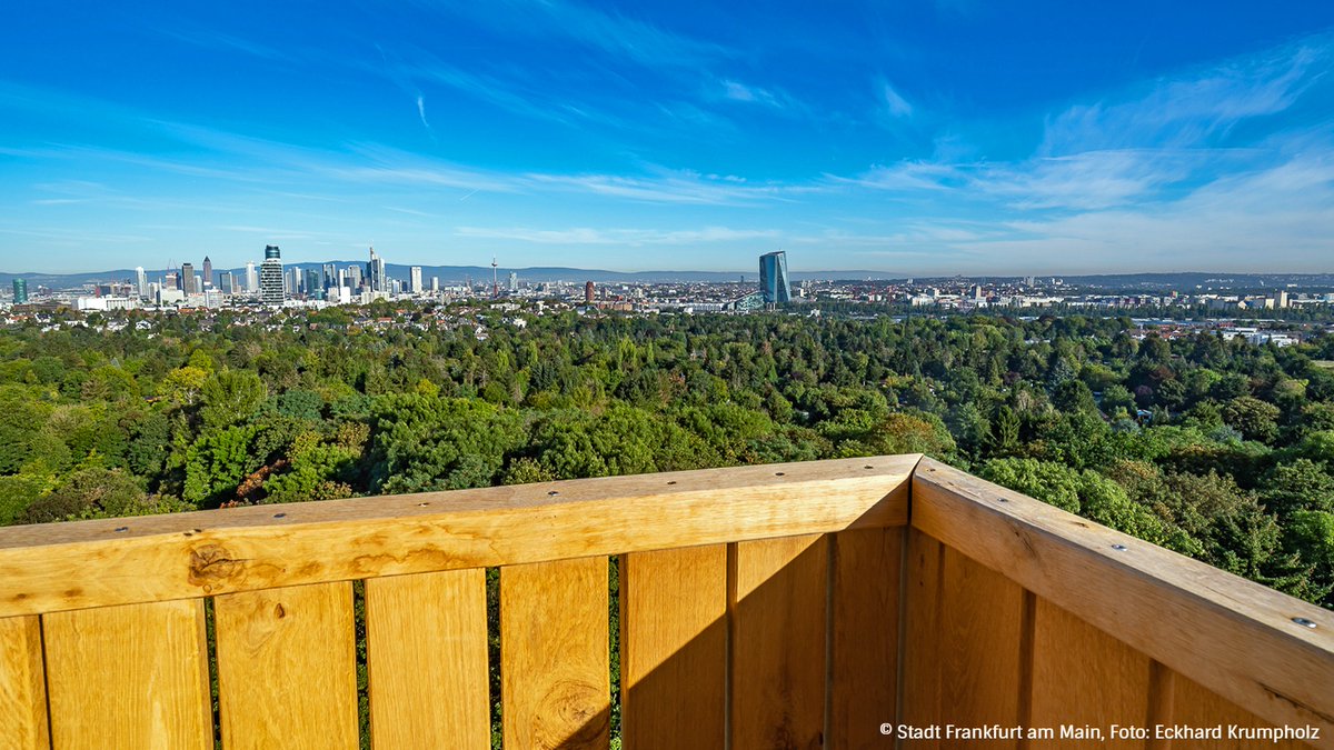 Stadt_FFM's tweet photo. Ja, man kann wieder enuff! 🙌

Unser geliebter #Goetheturm ist nun täglich von 8 Uhr bis zum Einbruch der Dunkelheit, längstens bis 20 Uhr, geöffnet. Es gelten die üblichen Hygieneregeln und ihr müsst mitunter etwas warten, bis ihr an der Reihe seid. 😉 https://t.co/gRyHBJmw8V
