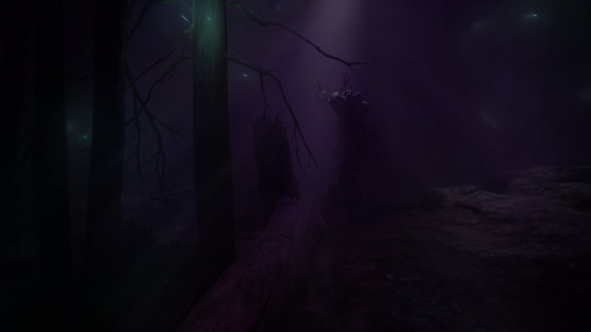 PolyReality tweet media