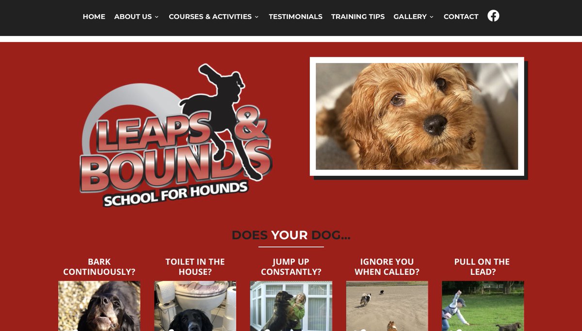 nextnorth's tweet image. New website design and launch for schoolforhounds.co.uk. Specialising in professional dog training, based locally in Linton. Take a look at their new website and see what you think!
