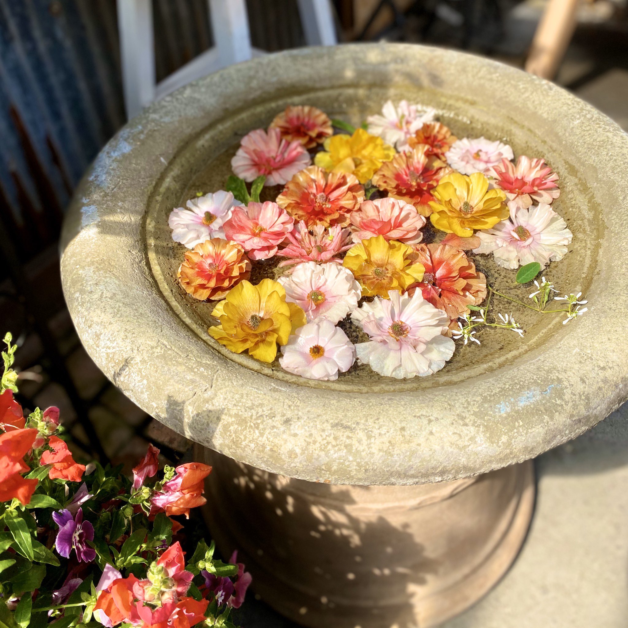 アンティーク　水鉢 花柄デザイン オシャレな植木鉢 - Search / X