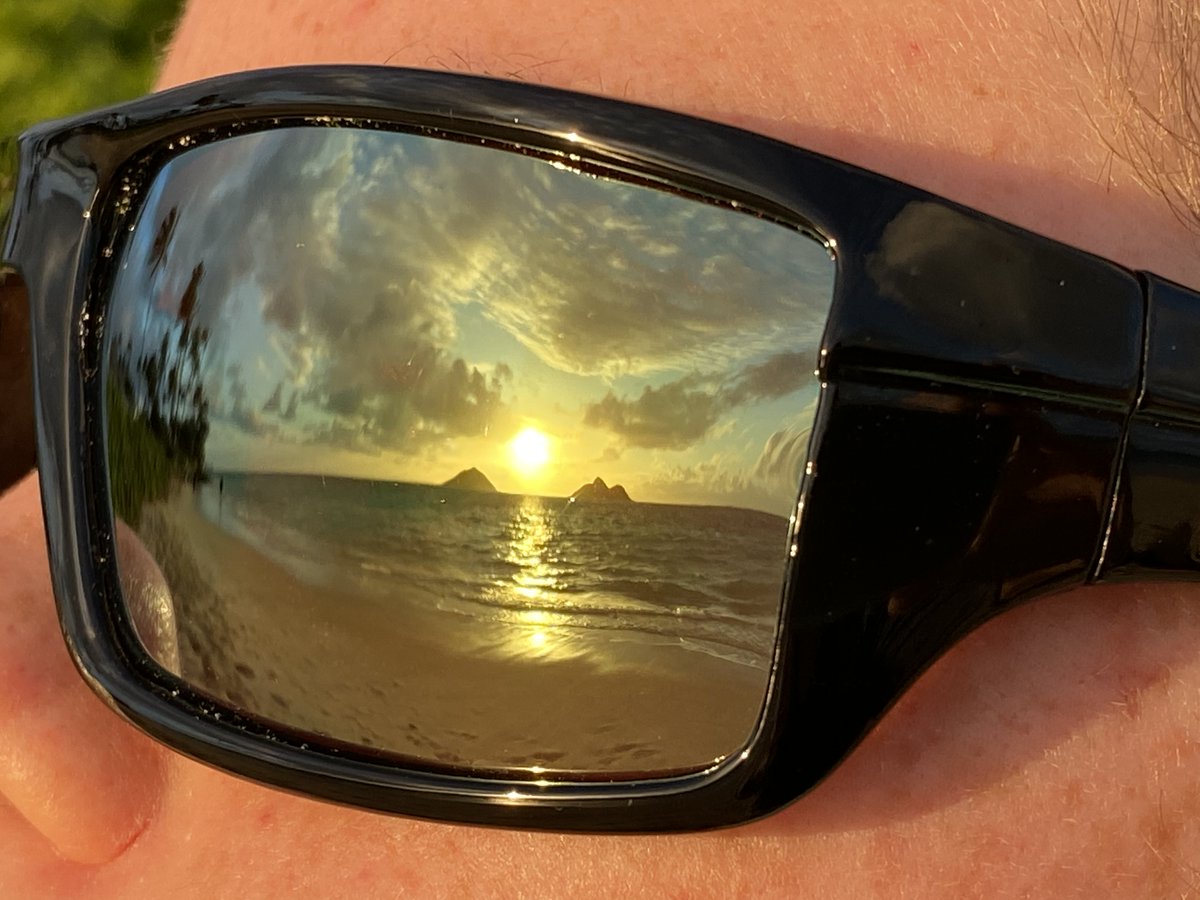 Also, at the behest of the #FeelerGaugeFestival's creators, all the films are captioned for accessibility. Yay!

Whether or not you're one of the countless folks who said #CongratulationsRachel when she earned her BFA last May, pls join Rachel on her continuing creative journey.