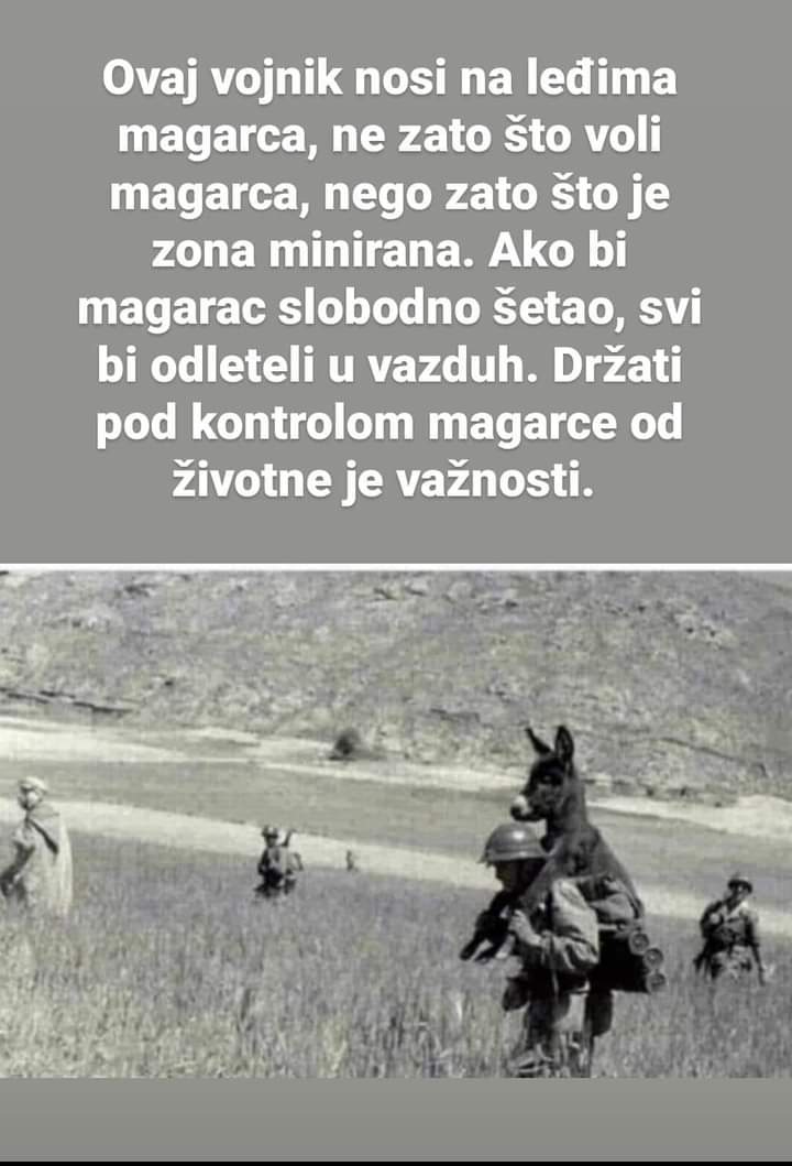 EySIiKyXMAIxOMI