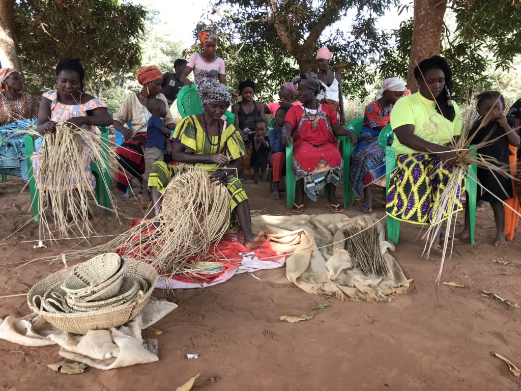 debarros_miguel's tweet photo. Visitamos hoje a tabanca de #Farim no interior do Parque Nacional de #Cantanhez e a produção artesanal de #cestaria. Atividade baseada no saber feminino cujo produto é usado nos rituais do povo #Nalu, mas também como utensílios para limpeza de cereais e transporte de alimentos. https://t.co/ZfNS79Jbp7