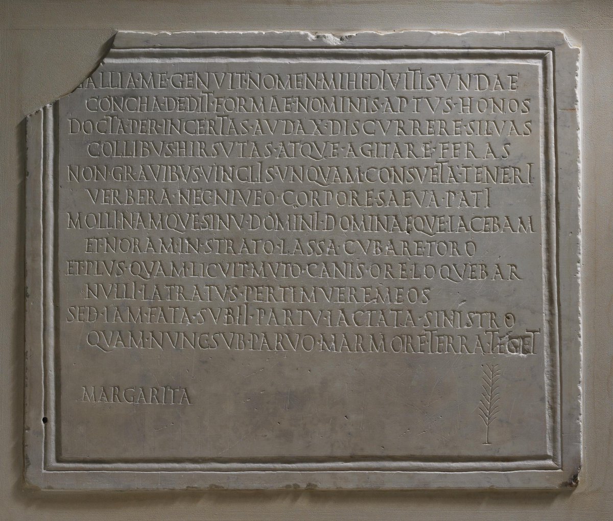 1st-2nd c. AD Roman epitaph plaque to Margarita (Pearl), a white dog: "...I used to lie on the soft lap of my master and mistress and knew to go to bed when tired on my spread mattress..." Read all translated epitaph here (British Museum  https://bit.ly/3uprmlN )  #NationalPetMonth