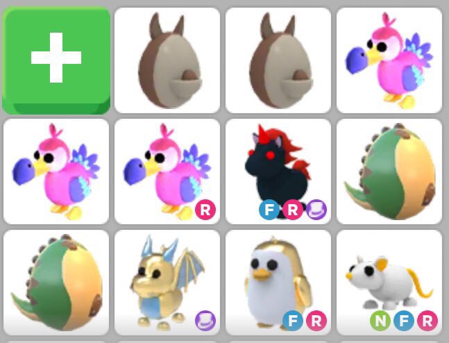 Helln0pe's tweet photo. Offers? I also have:
2 neon crocs, luminous neon unicorn  and  nr ginger cat.
#adoptmetrades #Adoptmetrades #adoptmetrading #adoptme #Adoptmetrade #adoptmeoffers #Adoptmeroblox  #adoptmedeals #adoptmebuying #AMtrading #adoptmegiveaways https://t.co/D09AXCfpVx