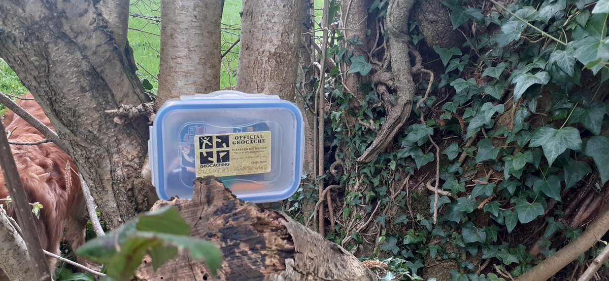 Kim Blaze, Buzz & Bolt🐾 (@lemursrock) on Twitter photo Some nice caches found this weekend not too far from home 😊 <a href="/TheGAGB/">The GAGB</a> <a href="/GoGeocaching/">Geocaching</a> <a href="/CotswoldCaching/">Cotswold Caching</a> @ukcachemag @thepodcacheshow <a href="/TheLECCachers/">The LEC Geocachers</a> Some nice caches found this weekend not too far from home 😊 <a href="/TheGAGB/">The GAGB</a> <a href="/GoGeocaching/">Geocaching</a> <a href="/CotswoldCaching/">Cotswold Caching</a> @ukcachemag @thepodcacheshow <a href="/TheLECCachers/">The LEC Geocachers</a>