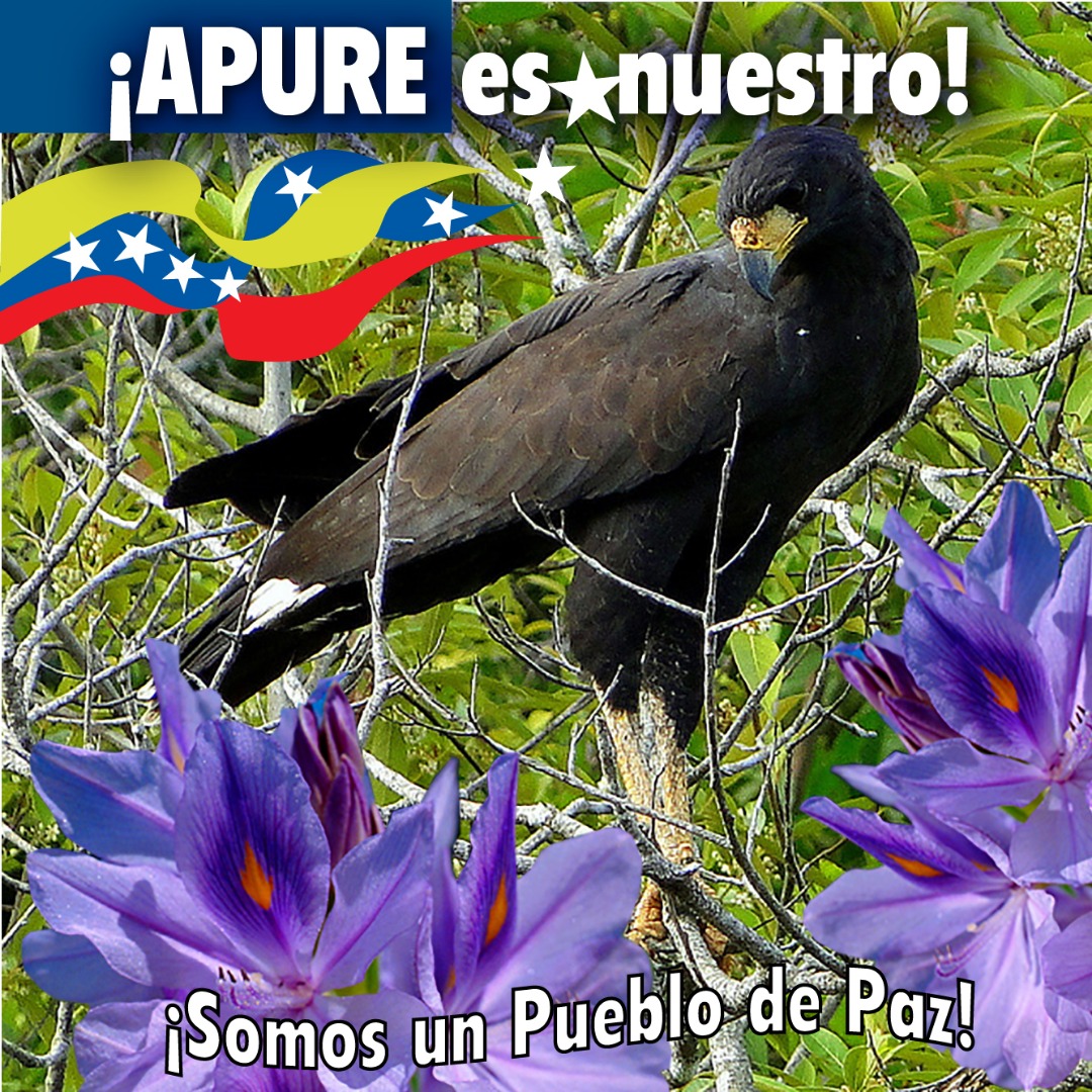 #ApureEsNuestro @soldevenezuela1
@yulyalexa1
@roxituitera
@AbrazoRebelde
@GHA80633107
@MayuComunica
@PetraYsabelina
@PSUVDavid
@PaolaPSUV
@FornicaPablo
@NeilymarRivero
@TropaChavistaYa
@LucenaVilma
@Licha19851
@_dblancog
@MarciAlix84
@lilidiaz8
@yhoscarly 
#CuidémonosDelVirus