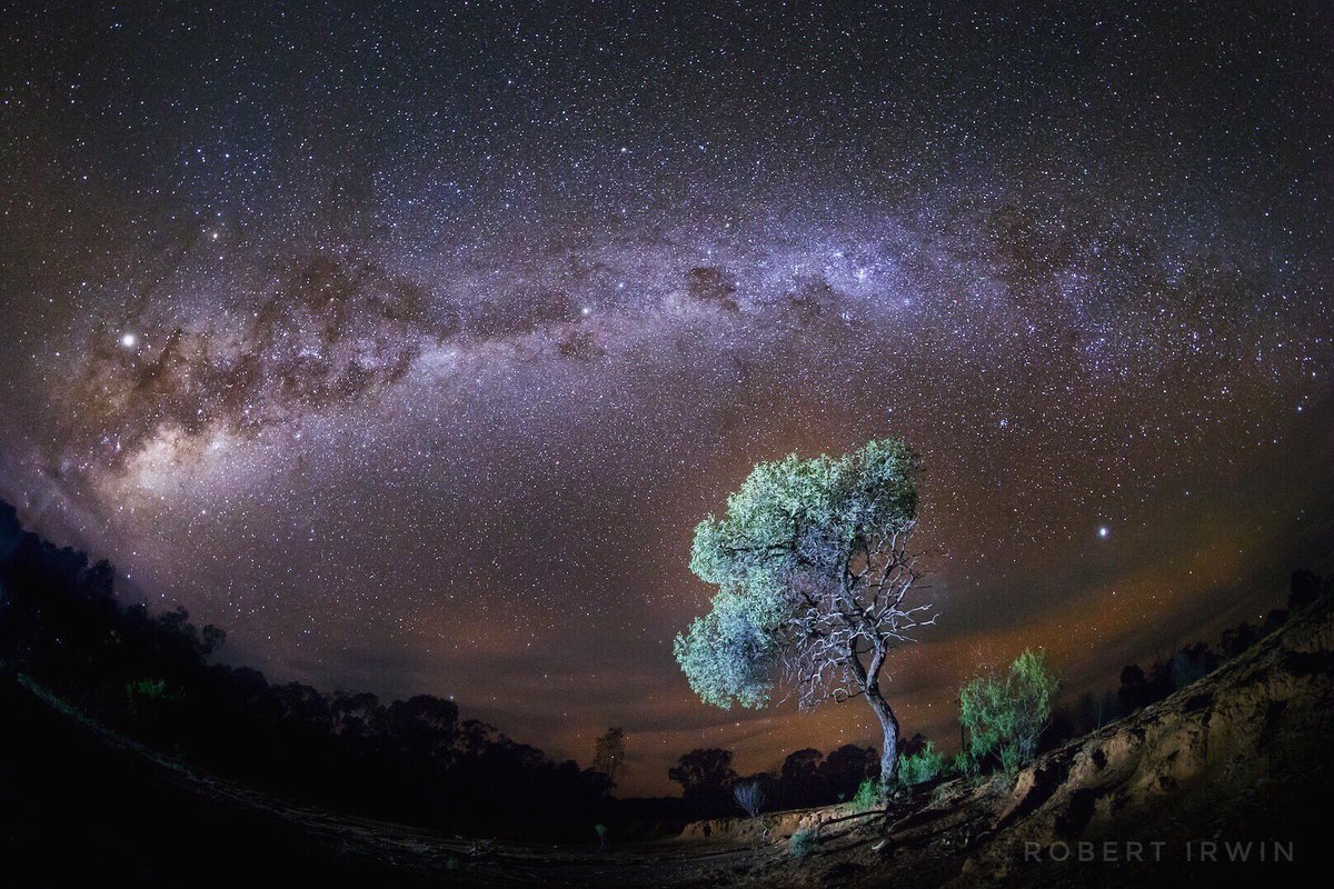 We are proud to have secured conservation properties in Queensland where you can still experience the night sky completely devoid of light pollution.
#InternationalDarkSkyWeek 

shop.australiazoo.com.au/robert/photogr…