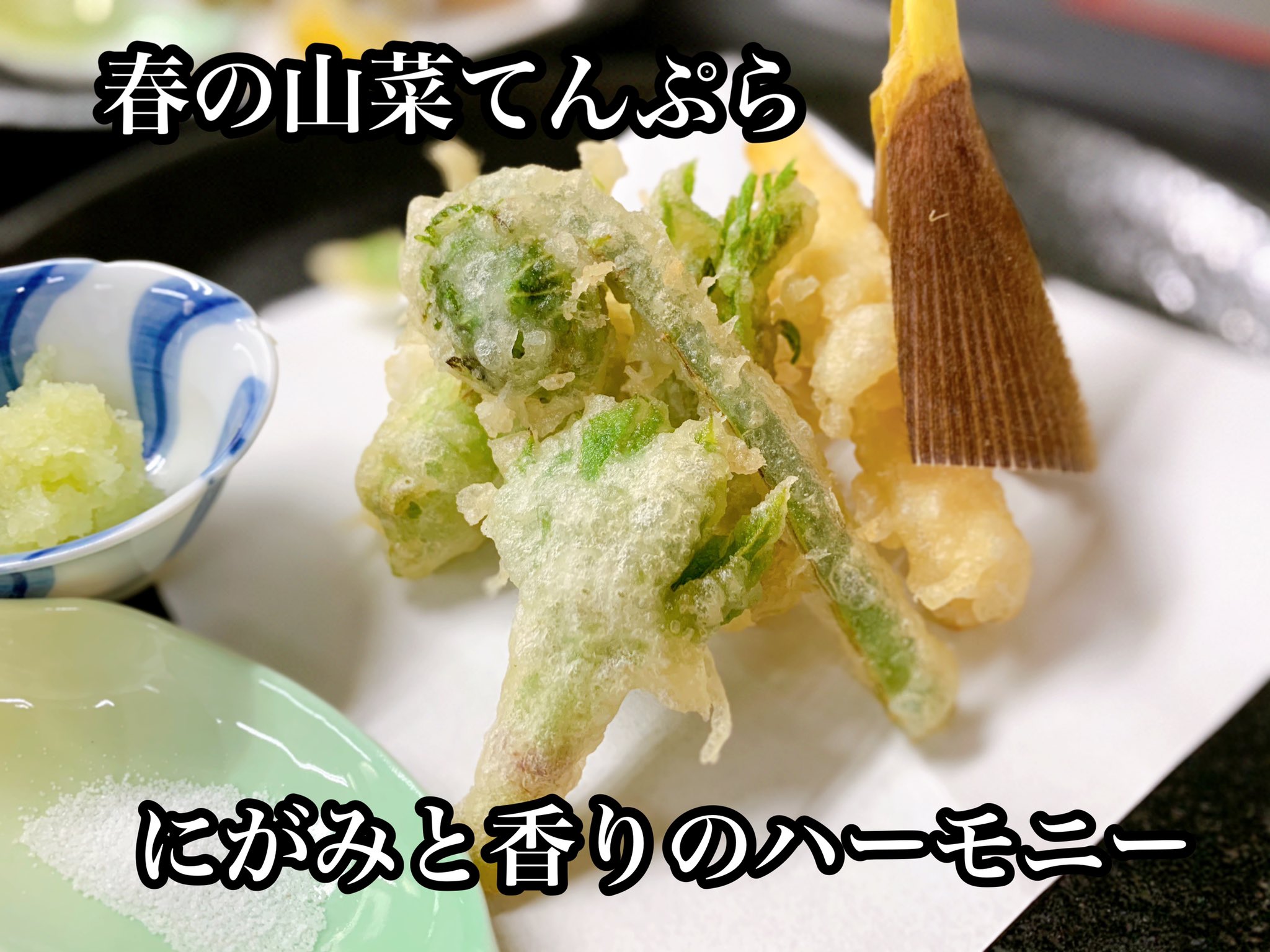 しらさぎ風雅 生松 タラの芽 独活の芽 こごみ 蕗の薹 菜の花 太市たけのこ 天ぷらは揚げものですが 蒸し料理の一種だと思ってます 衣の中で蒸しあがった 山菜の独特の苦味と香り 鼻を通る瞬間がたまりませんね 春の山菜 春の山菜天ぷら