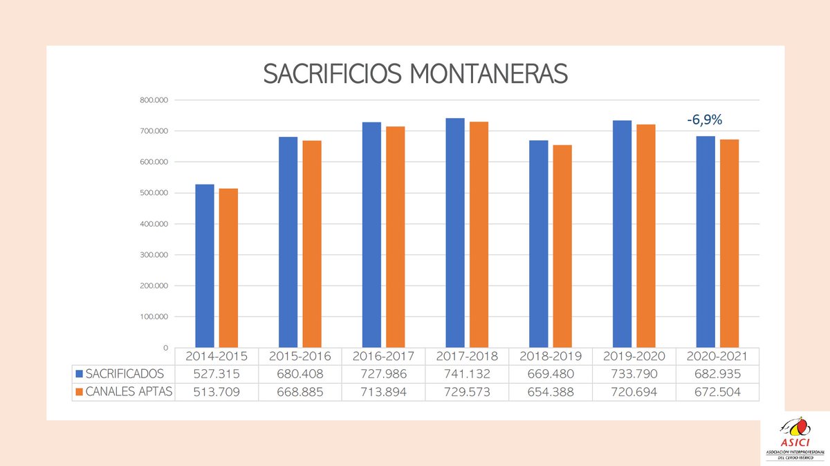 somosibericos's tweet photo. 📊#MONTANERA20202021
Se han sacrificado 682.935 animales de #bellota, un descenso del 6,9% con respecto a la campaña anterior.

El 63% son 100% #Ibérico, precinto negro ⚫️ y el 37% restante precinto rojo 🔴, siendo el 9% del 75% Ibérico y el 28% del 50% Ibérico 

#ÍTACA #ASICI https://t.co/FAkLzWaEzK