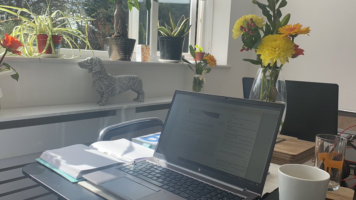 Suzannah Dunning (Suzannah Tasker) tweet media