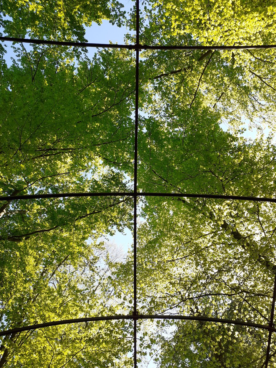 Interreg FCE tweet media