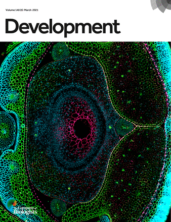 drtucks's tweet photo. Nice photo @ellwilks and congrats on the @Dev_journal  cover! Special mention to @XiujuanYang for driving this one home with our @dundeeuni @JamesHuttonInst partners. @waiteresearch @UniAdelSciences #barley #plantdev #CRISPR https://t.co/y5xDdQg2zt https://t.co/A4kqhq8HRZ