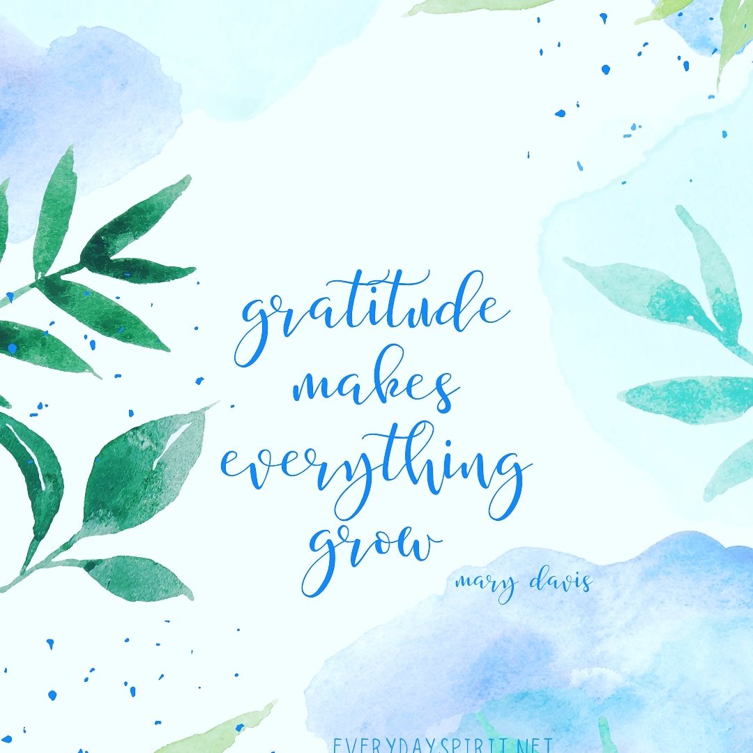 jbempowers's tweet image. Gratitude makes everything grow! 💙 Mary Davis