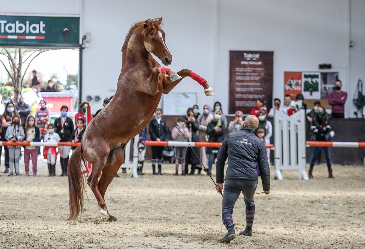 Kazbek &amp; JC
📷<a href="/sergen_sezgin/">sergen sezgin</a>