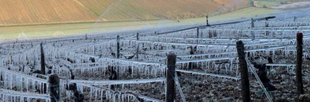 HISTOIRE_DU_VIN's tweet photo. Le gel met les vignerons sous pression https://t.co/x8Lv7IJOqA @RagonneauBIVB https://t.co/Q38CnmBMi6