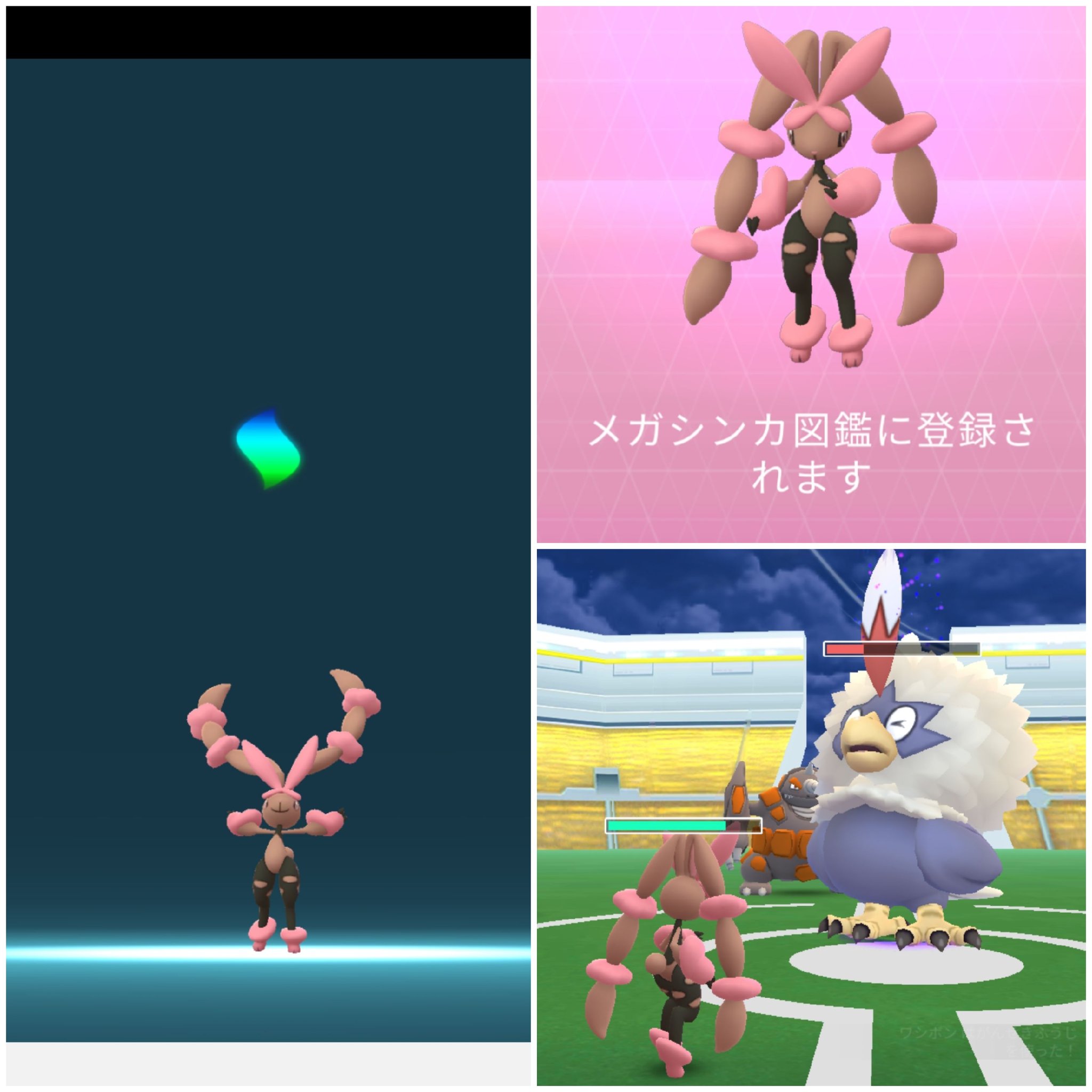 Amazinghisa 今日のポケモンgo活動2 スポットライトもうすぐ終了のところでミミロルが光った ノ レイドはワシボン ようやくミミロップをメガシンカ 図鑑登録完了 これで明日から相棒としてミミロップを連れてあるけそう ポケモンgo
