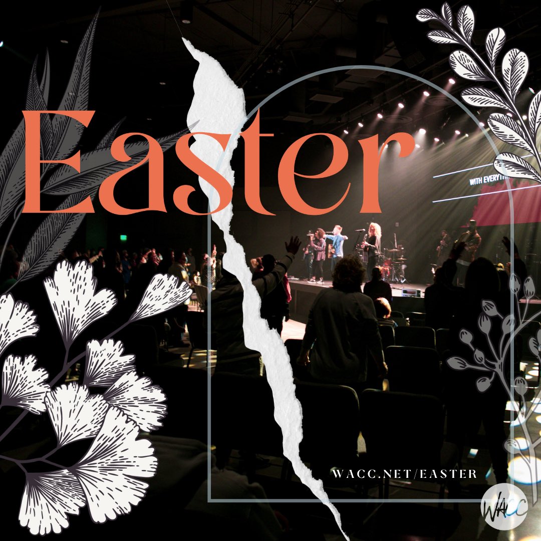 AmyKimesDesign's tweet image. #designdiaries
Working on celebrating and archiving. A road that I need to travel more frequently.