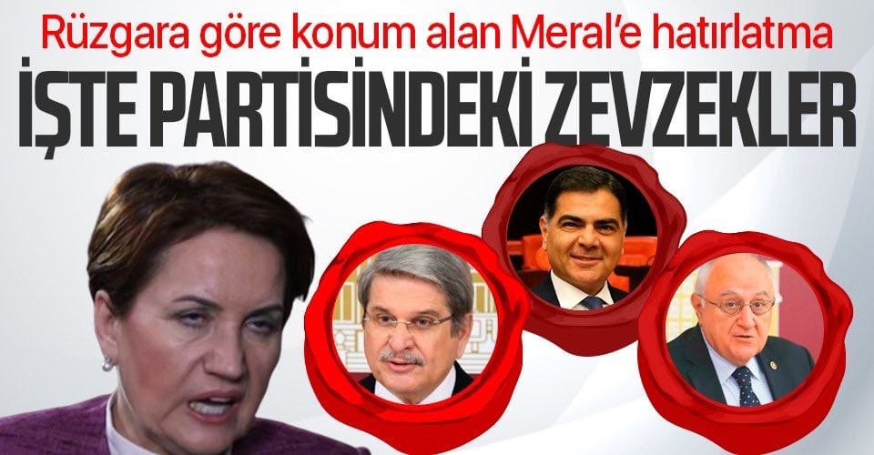 İste partisindeki zevzekler Meral abla gör #Zevzekİttifakı